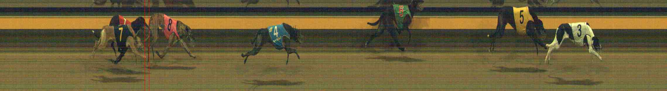 Photo finish for Horsham Race 11