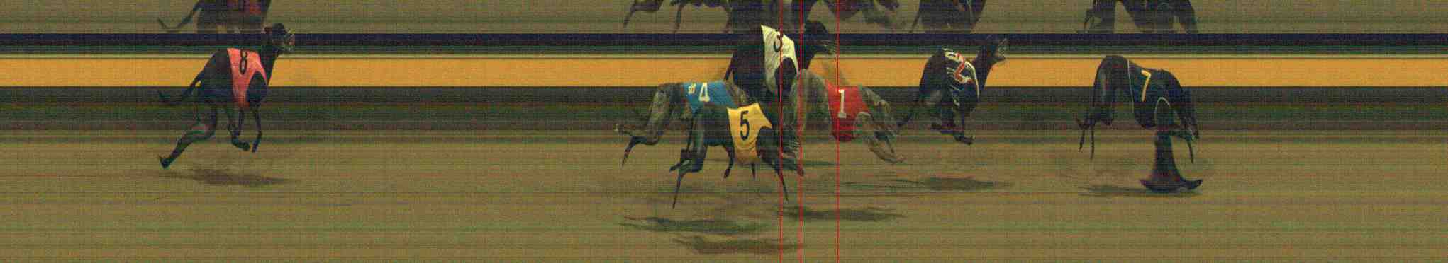 Photo finish for Horsham Race 12