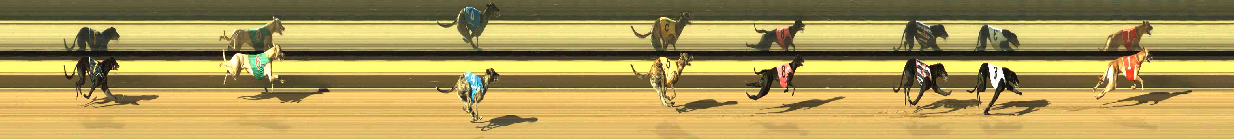 Race result finish photo