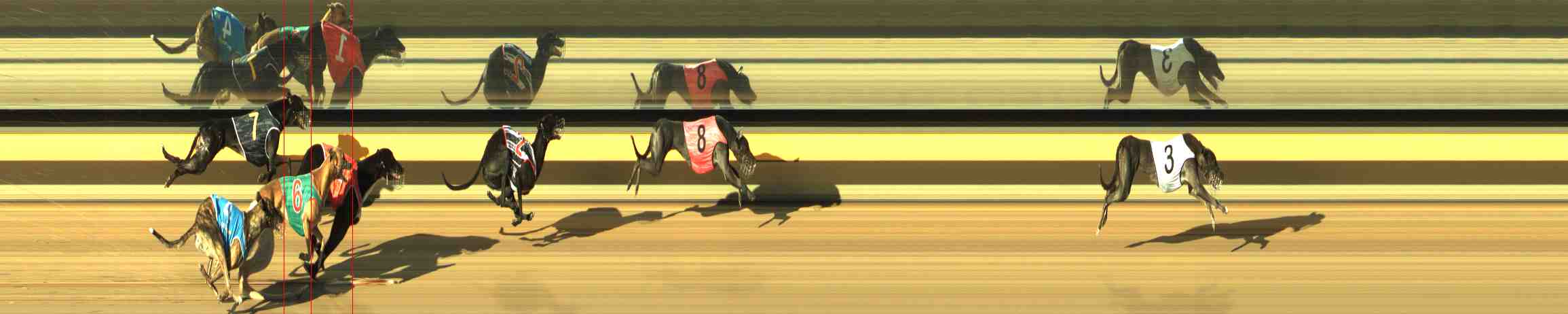 Photo finish for Horsham Race 2