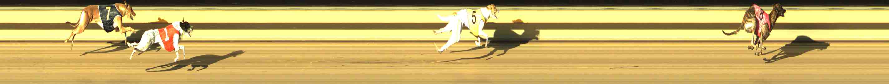 Photo finish for Horsham Race 3