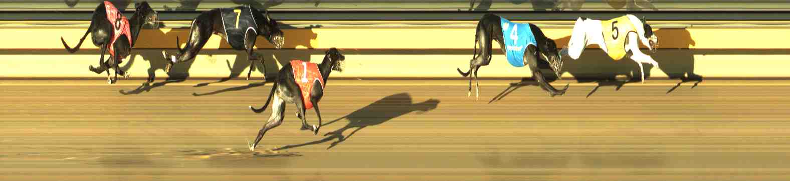 Photo finish for Horsham Race 4