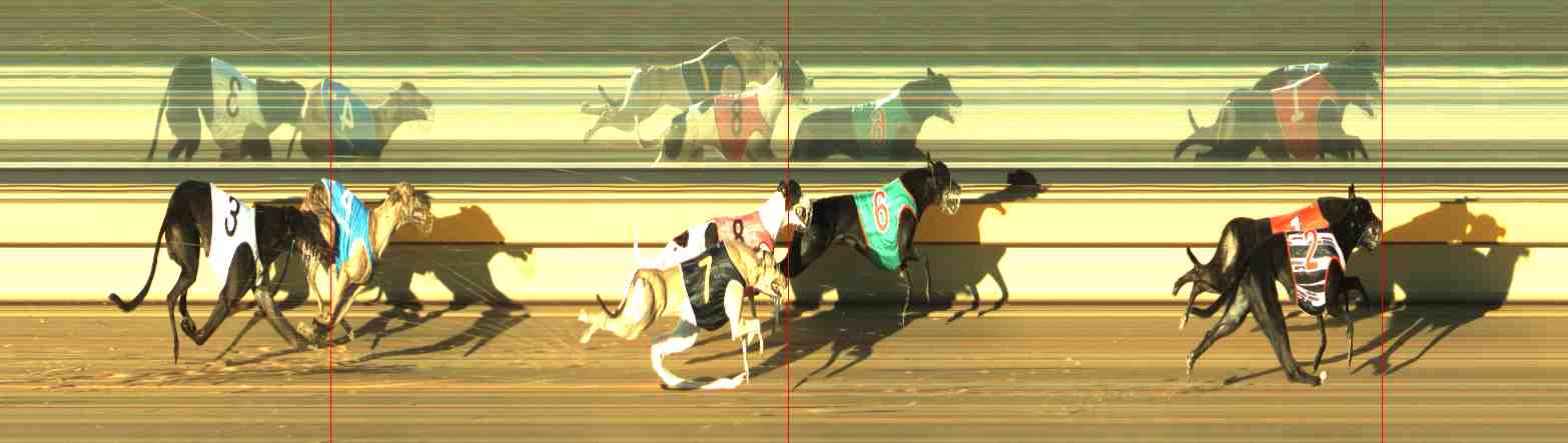 Photo finish for Horsham Race 5