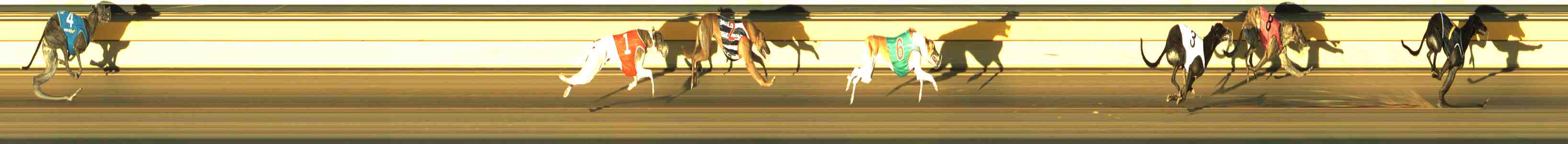 Photo finish for Horsham Race 6