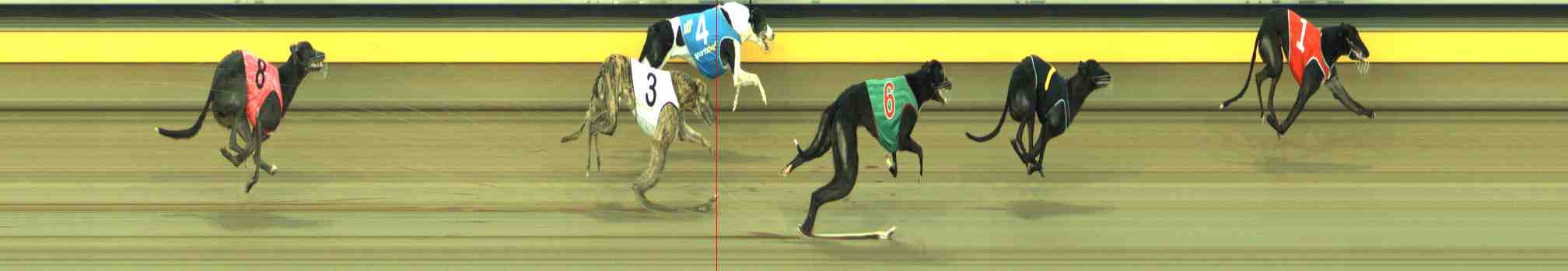 Photo finish for Horsham Race 8