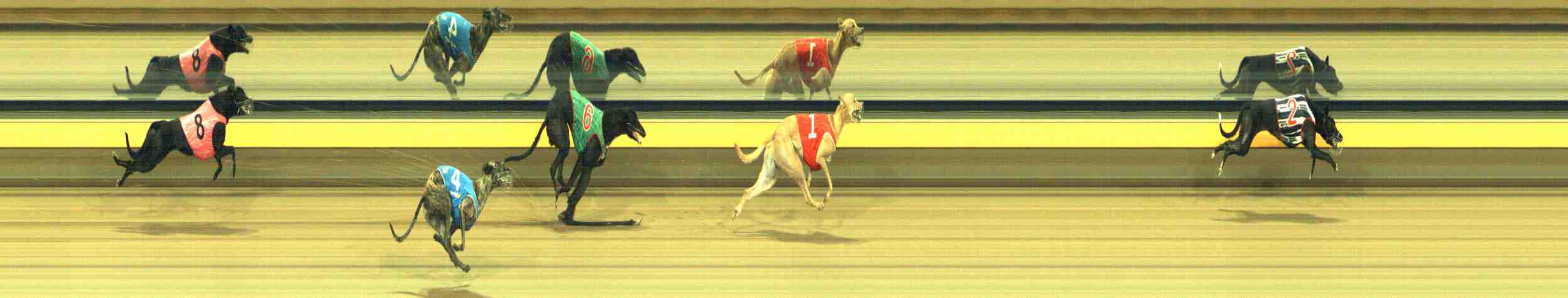 Photo finish for Horsham Race 9