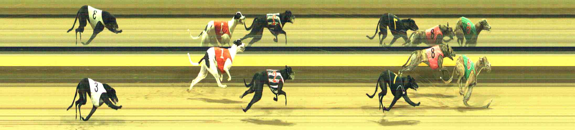 Photo finish for Horsham Race 10