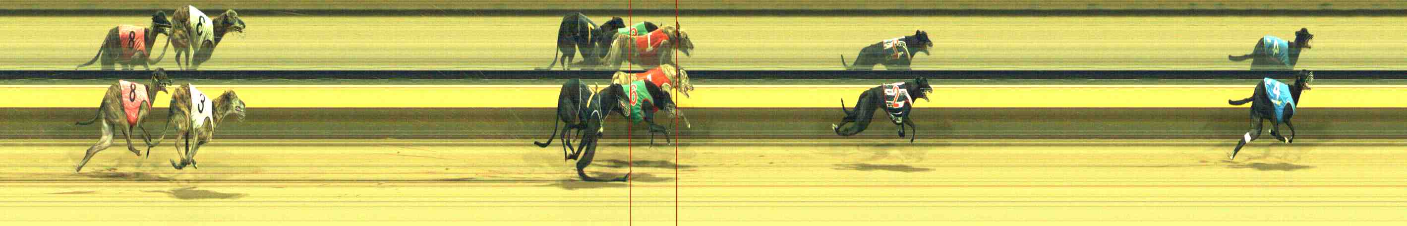 Photo finish for Horsham Race 11