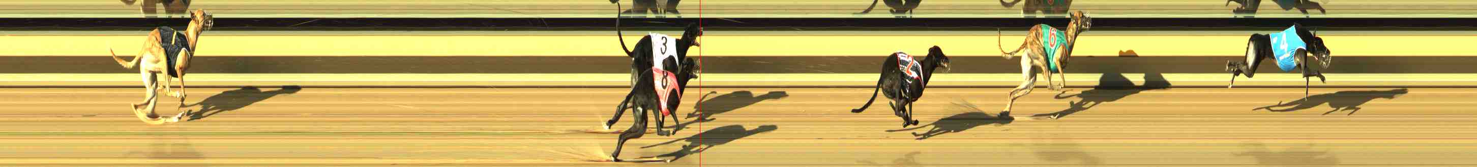 Photo finish for Horsham Race 2