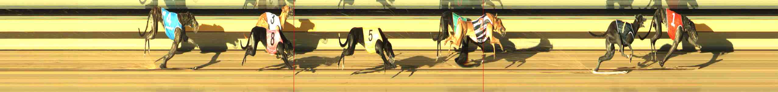 Photo finish for Horsham Race 3