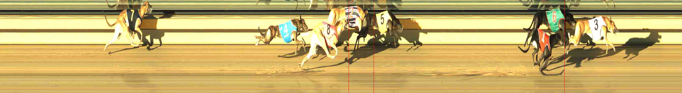 Photo finish for Horsham Race 4