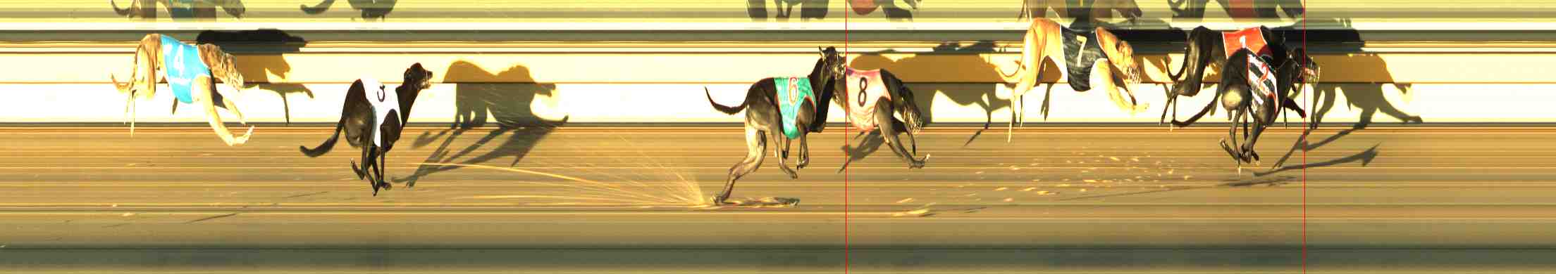 Photo finish for Horsham Race 6