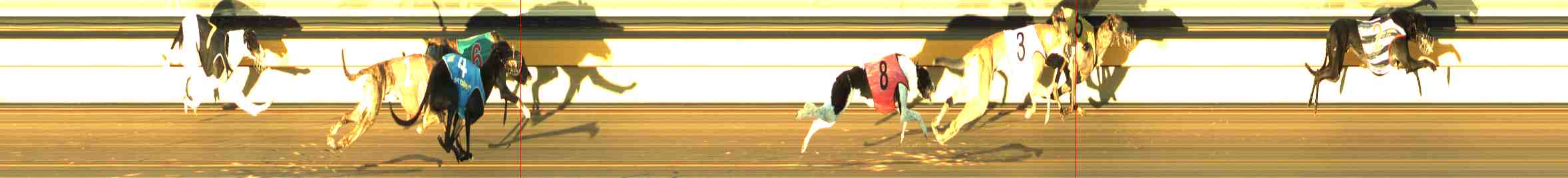 Photo finish for Horsham Race 7