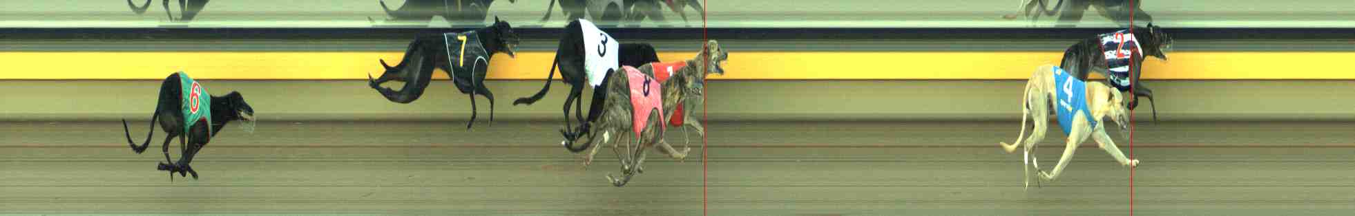 Photo finish for Horsham Race 8