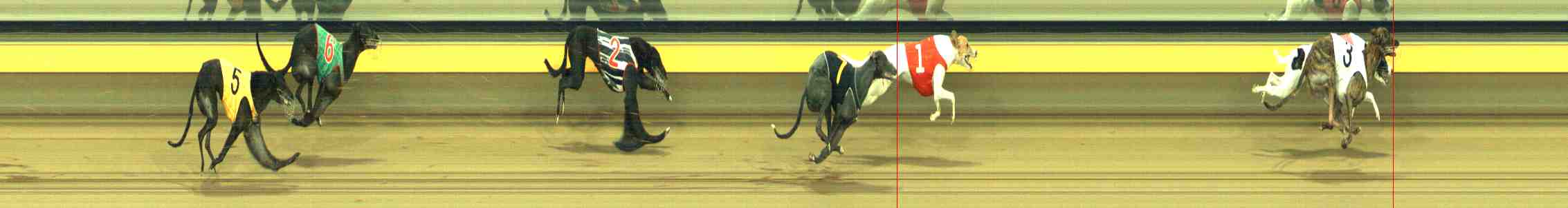 Photo finish for Horsham Race 9