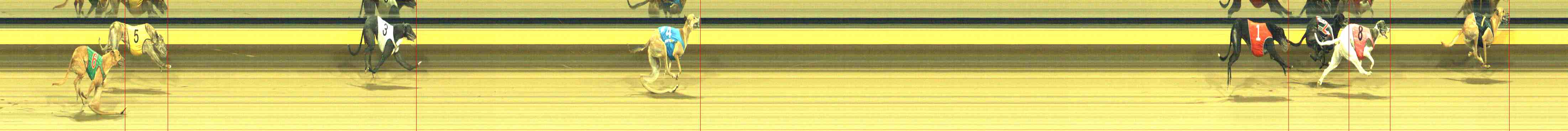 Photo finish for Horsham Race 10