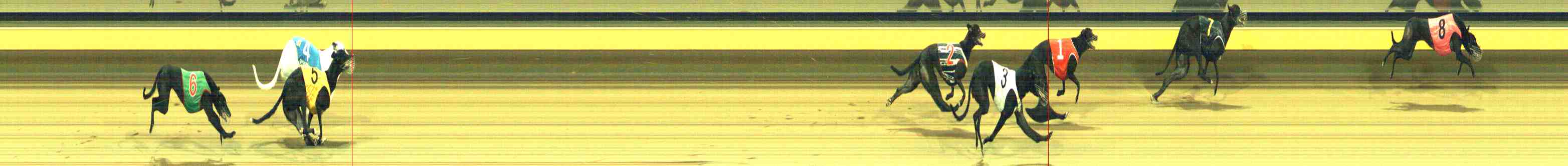 Photo finish for Horsham Race 11