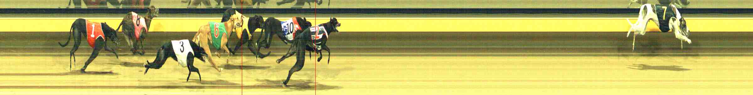 Photo finish for Horsham Race 12
