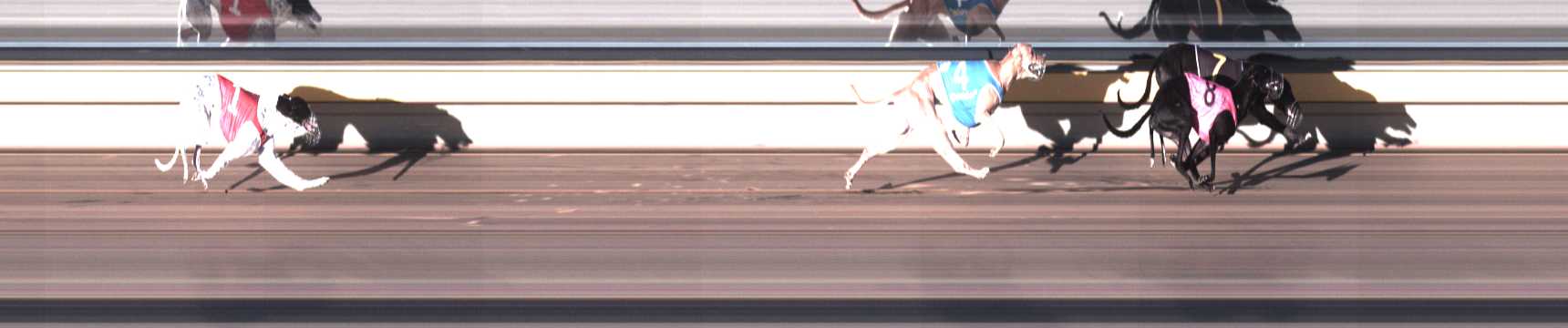 Photo finish for Horsham Race 5