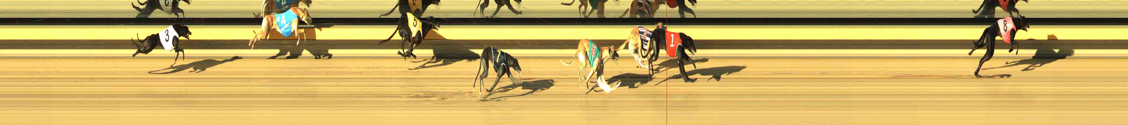 Race result finish photo
