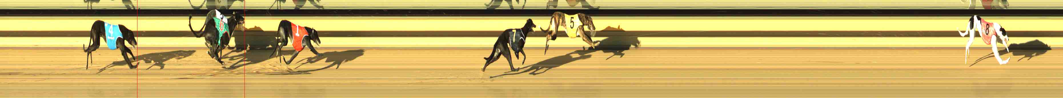 Photo finish for Horsham Race 2
