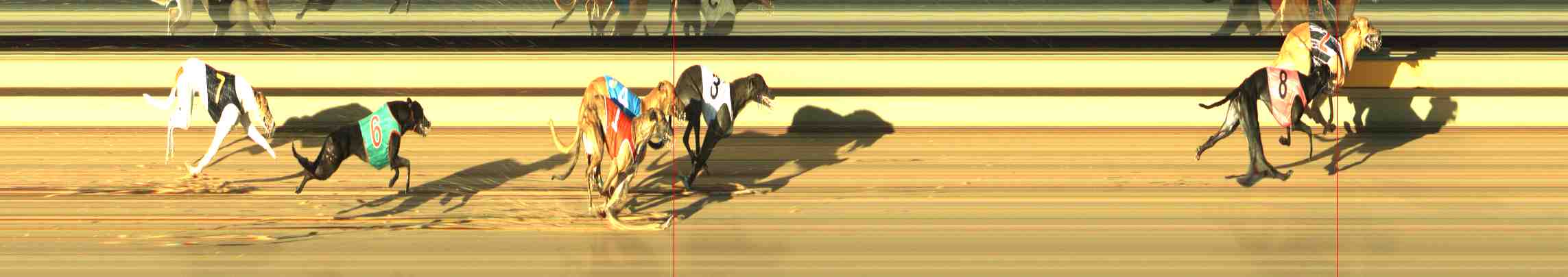 Photo finish for Horsham Race 3