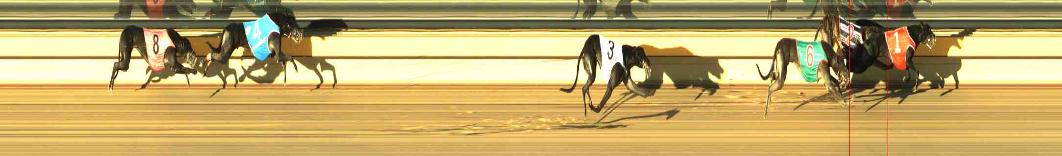 Photo finish for Horsham Race 4