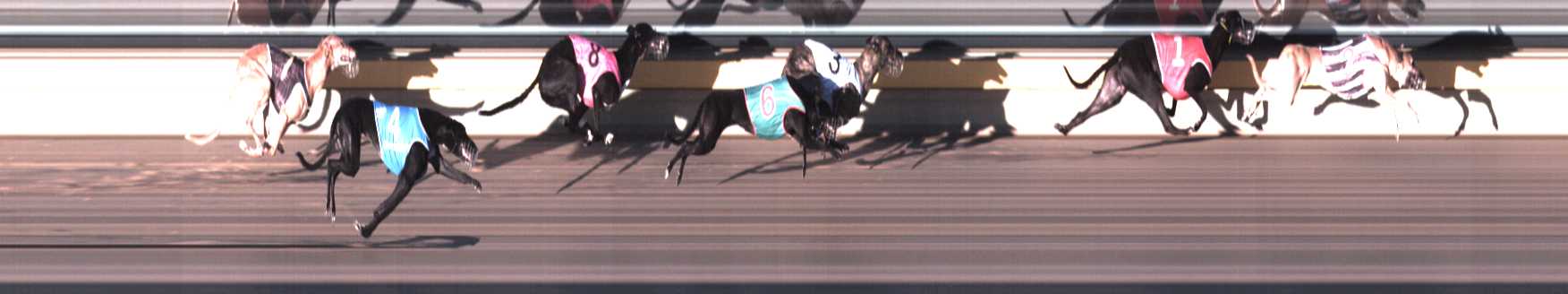 Photo finish for Horsham Race 5