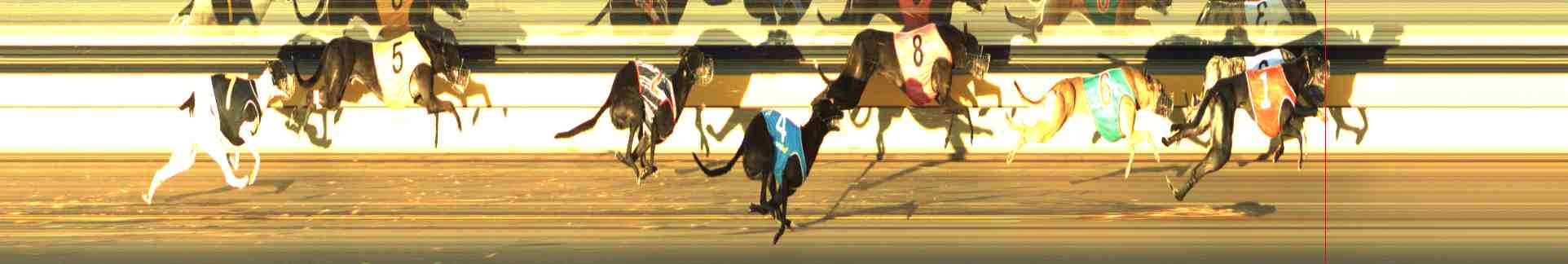 Photo finish for Horsham Race 6