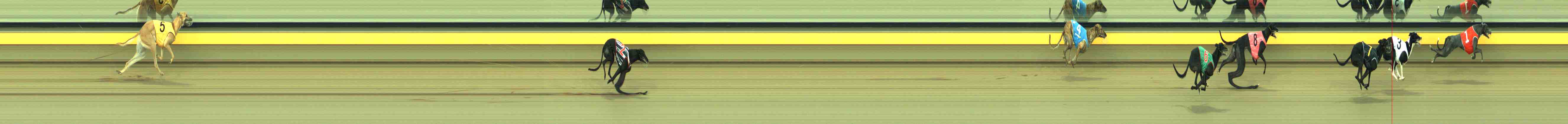 Photo finish for Horsham Race 7