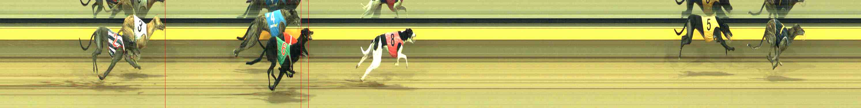 Photo finish for Horsham Race 8