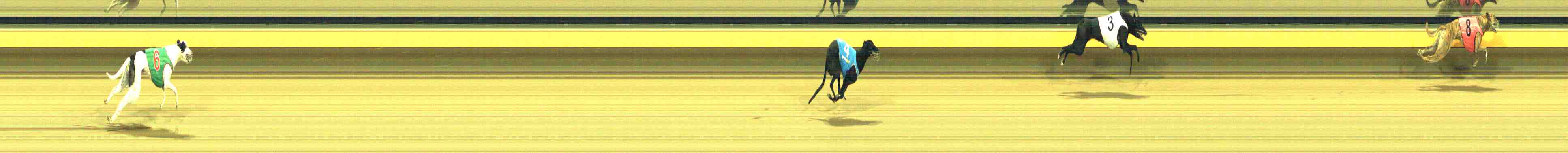 Photo finish for Horsham Race 9