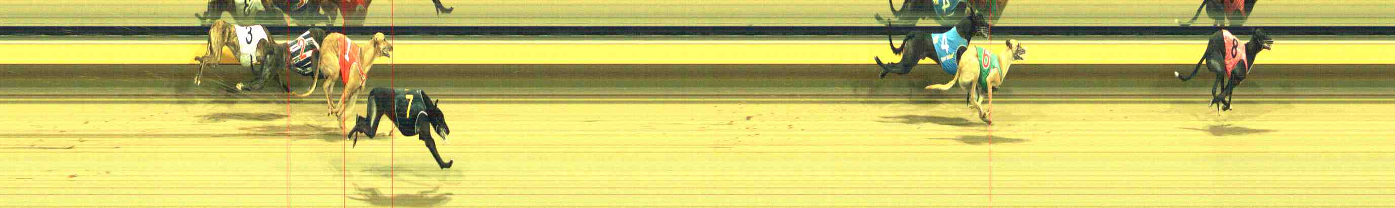 Photo finish for Horsham Race 10