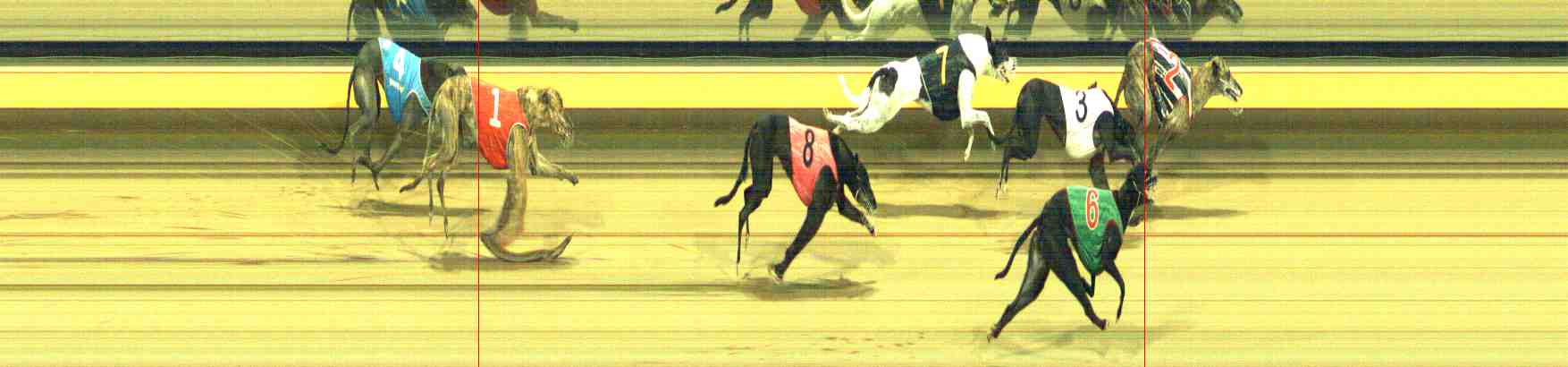 Photo finish for Horsham Race 11