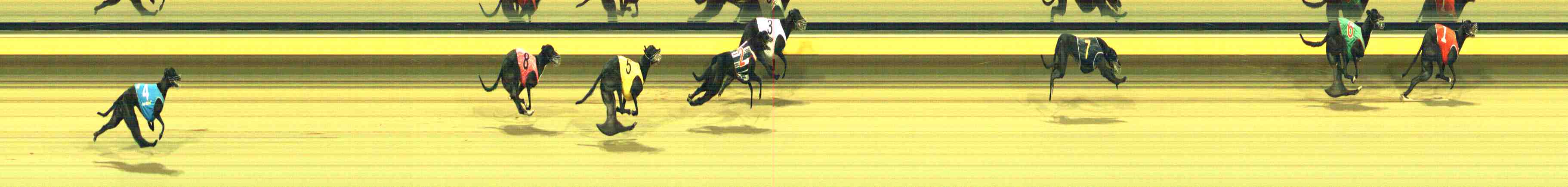 Photo finish for Horsham Race 12