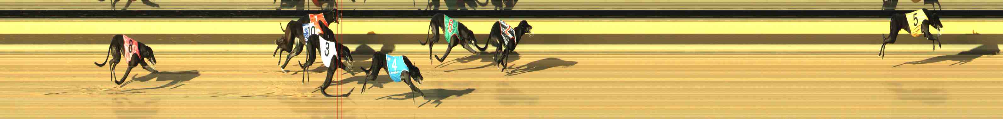 Photo finish for Horsham Race 2