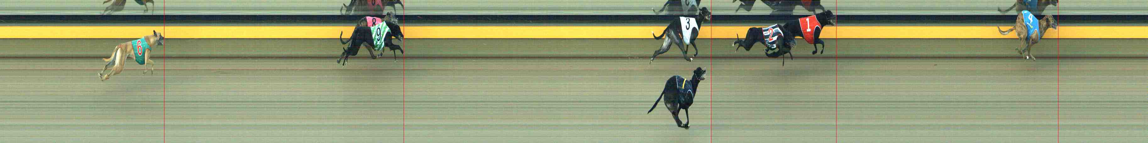 Photo finish for Horsham Race 3
