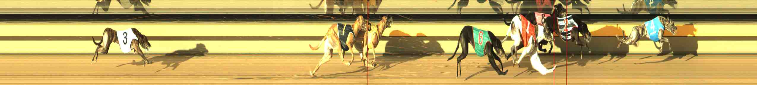 Photo finish for Horsham Race 4