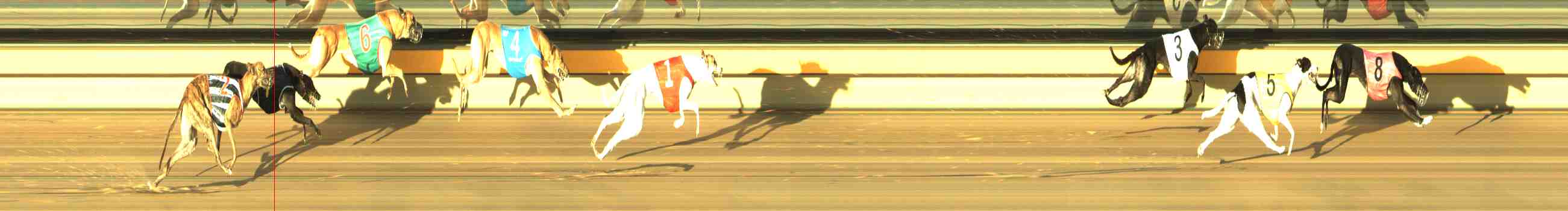 Photo finish for Horsham Race 5