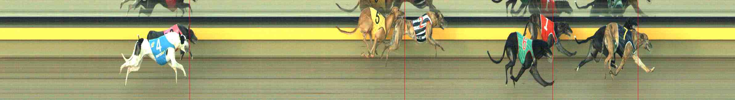 Photo finish for Horsham Race 6