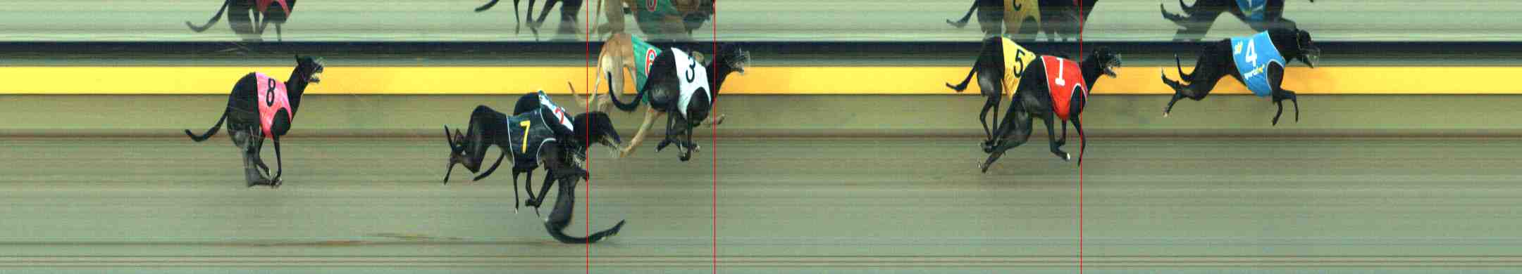 Photo finish for Horsham Race 7