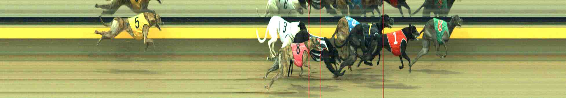 Photo finish for Horsham Race 8