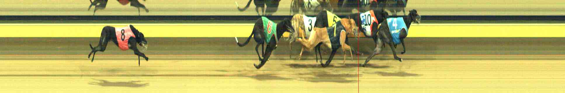 Photo finish for Horsham Race 9