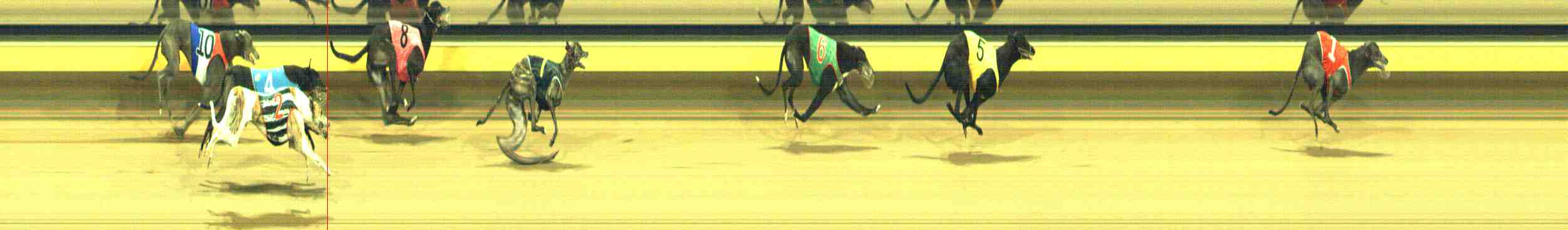 Photo finish for Horsham Race 10