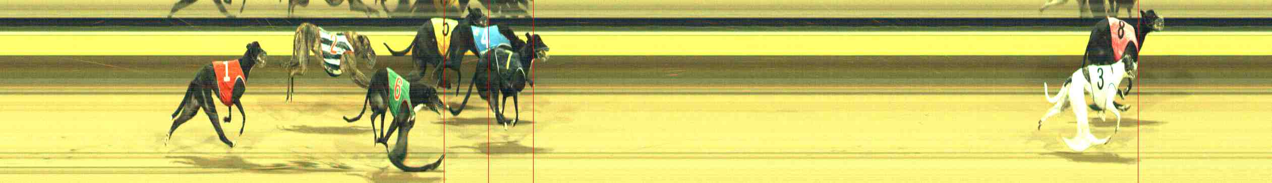 Photo finish for Horsham Race 11