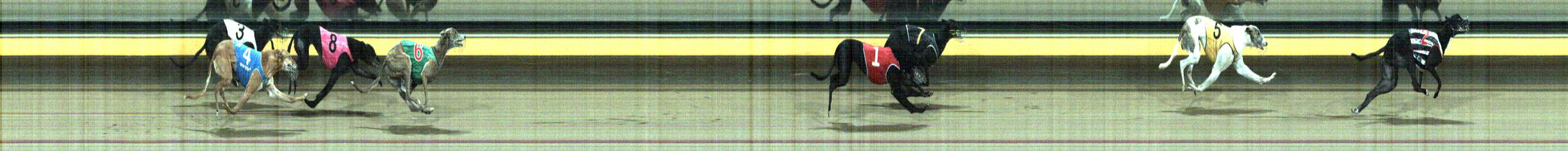 Photo finish for Horsham Race 12