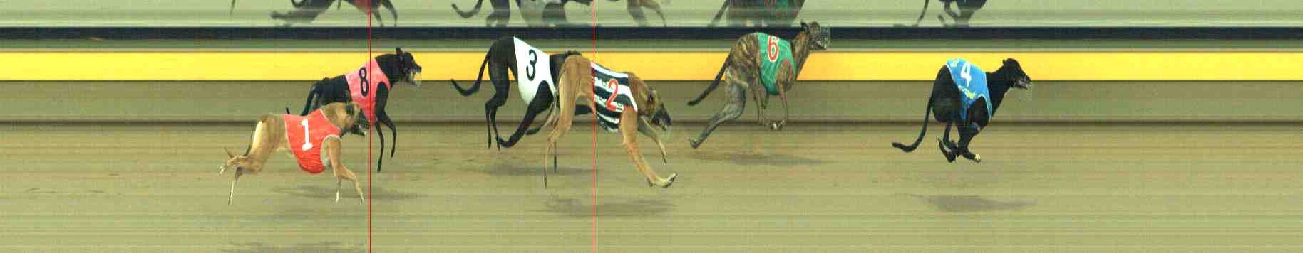 Photo finish for Horsham Race 2