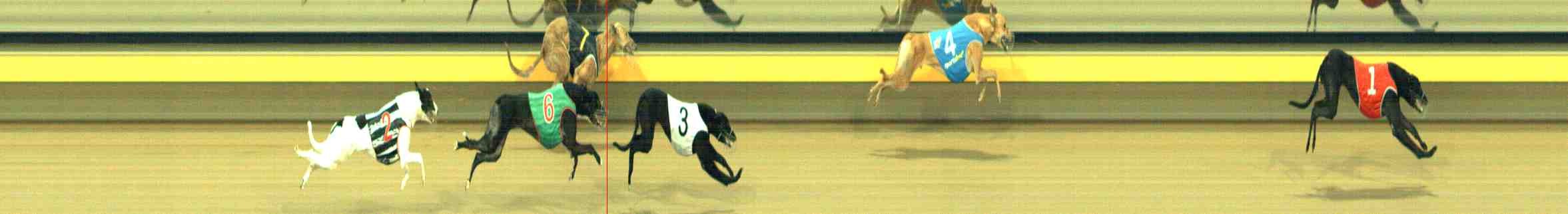 Photo finish for Horsham Race 3