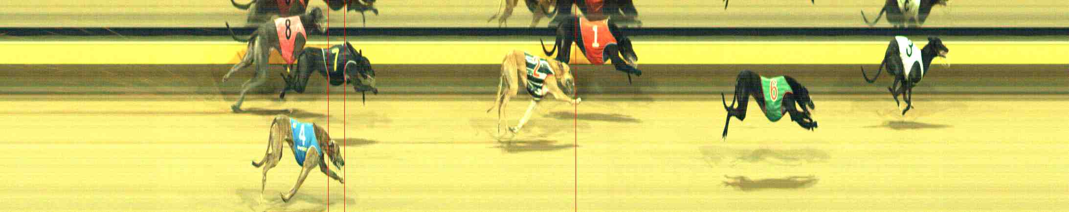 Photo finish for Horsham Race 4