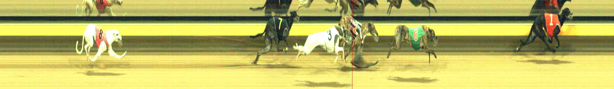 Photo finish for Horsham Race 5